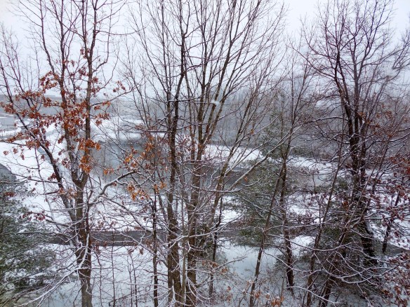 Lin and Michael's Photos