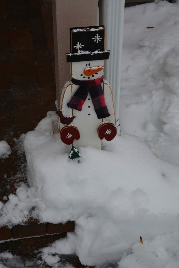 Lin and Michael's Photos