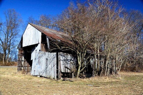 Lin and Michael's Photos