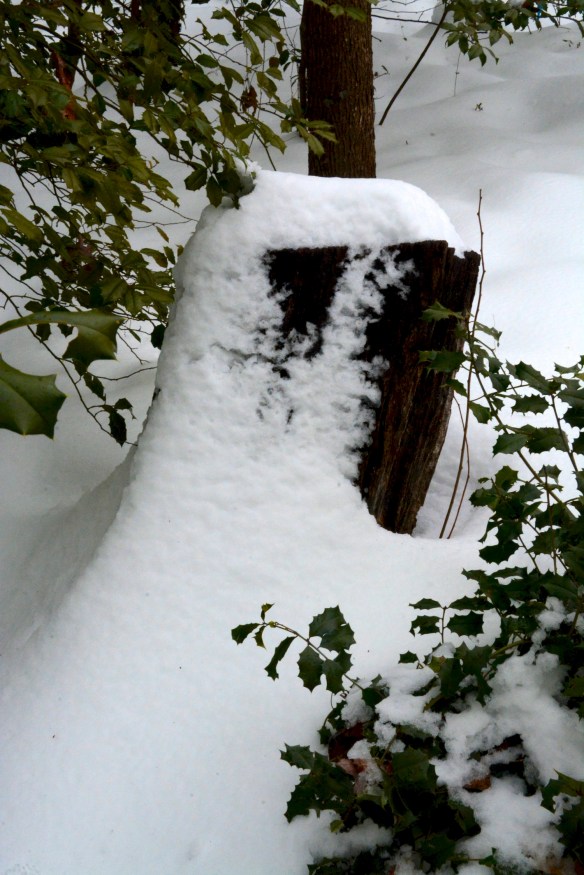 Lin and Michael's Photos