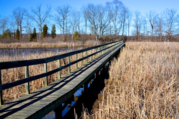 Lin and Michael's Photos