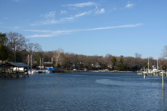 Lin and Michael's Photos