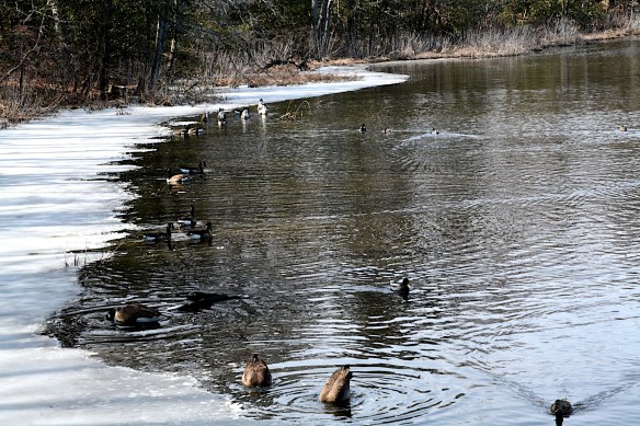 Lin and Michael's Photos