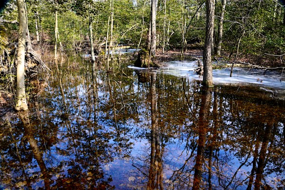 Lin and Michael's Photos