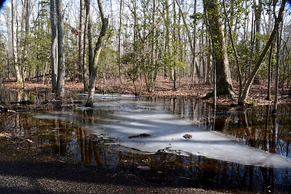 Lin and Michael's Photos