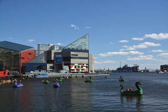 Lin and Michael's Photos