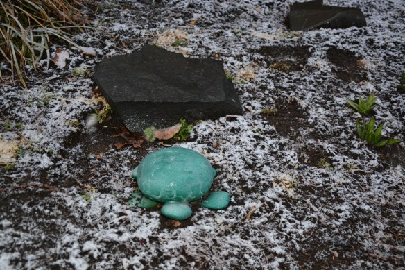 Lin and Michael's Photos