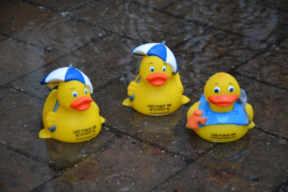 Lin and Michael's Photos