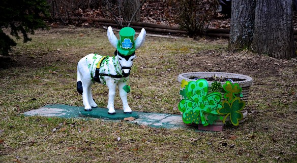 Lin and Michael's Photos