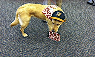 Lin and Michael's Photos