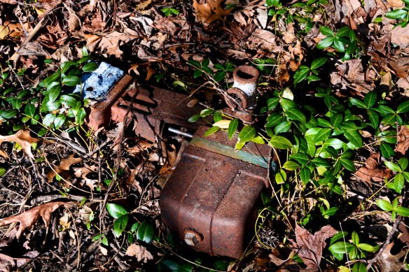 Lin and Michael's Photos