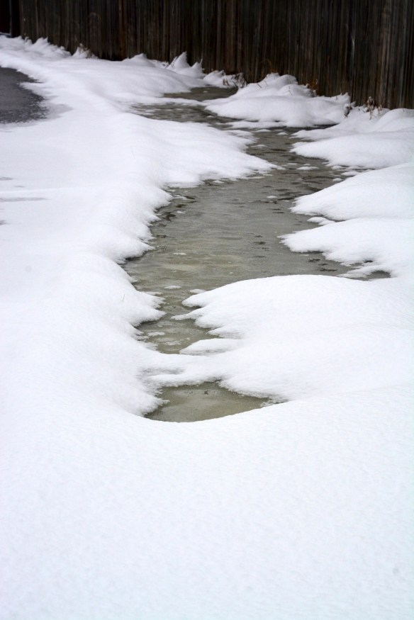 Lin and Michael's Photos