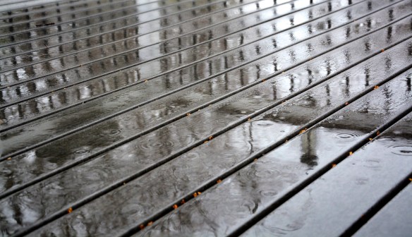 Lin and Michael's Photos