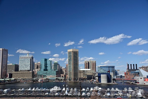 Lin and Michael's Photos