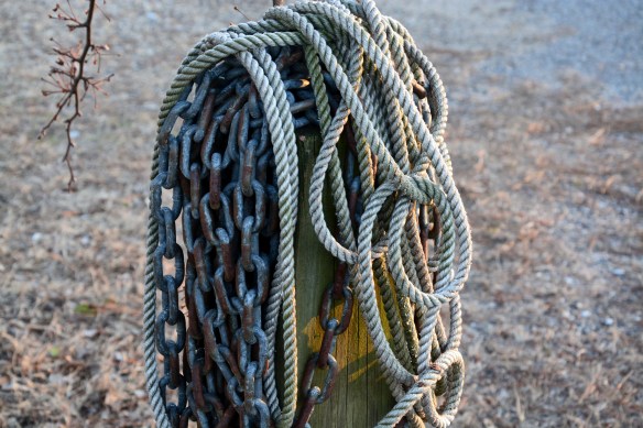 Lin and Michael's Photos