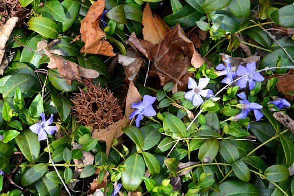 Lin and Michael's Photos