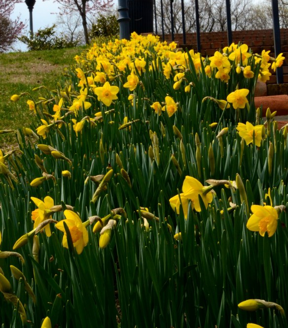 Lin and Michael's Photos