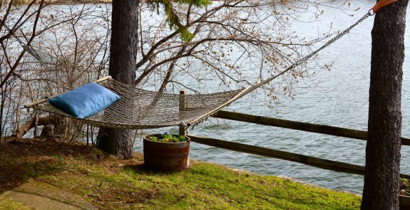 Lin and Michael's Photos