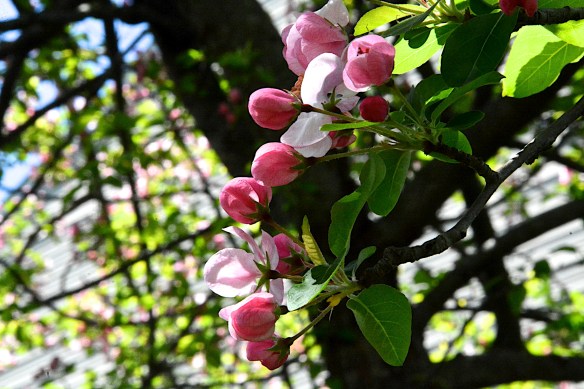 Lin and Michael's Photos