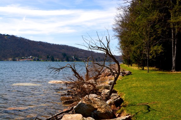 Lin and Michael's Photos