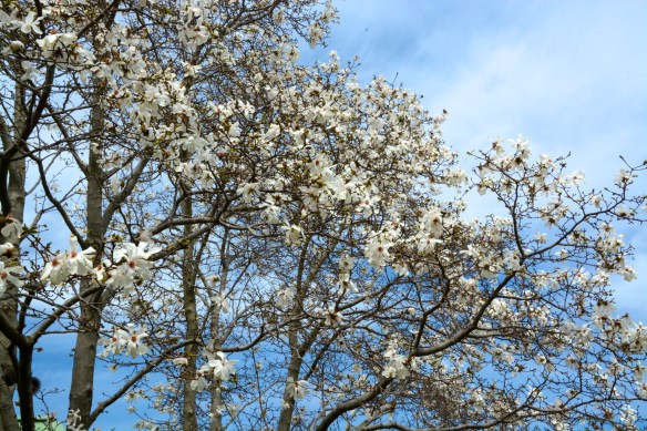 Lin and Michael's Photos