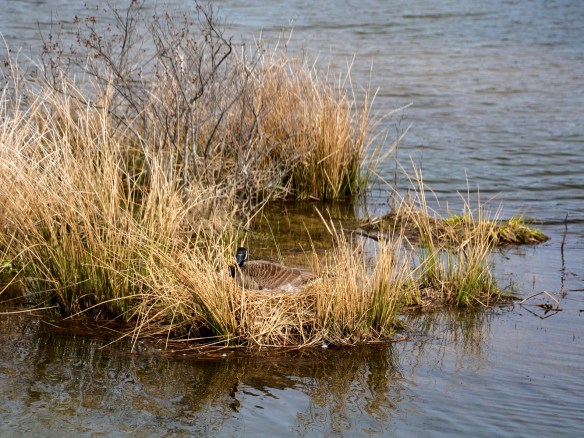 Lin and Michael's Photos