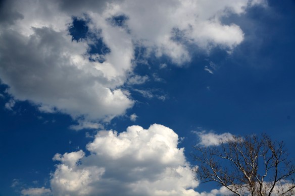 Lin and Michael's Photos