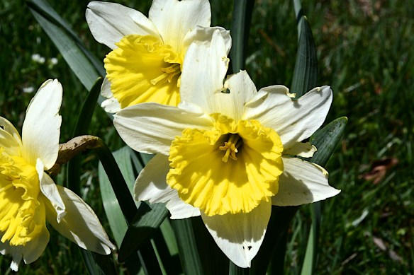 Lin and Michael's Photos