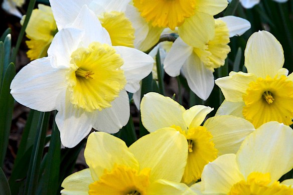 Lin and Michael's Photos