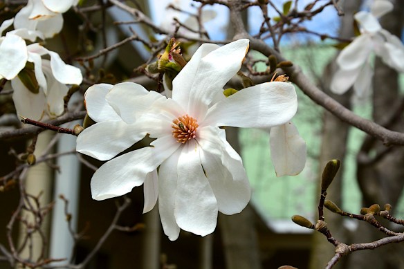 Lin and Michael's Photos