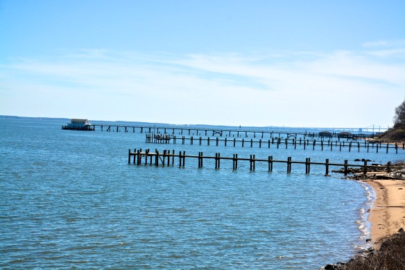 Lin and Michaels Photos