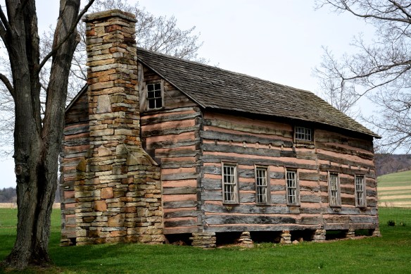 Lin and Michael's Photos