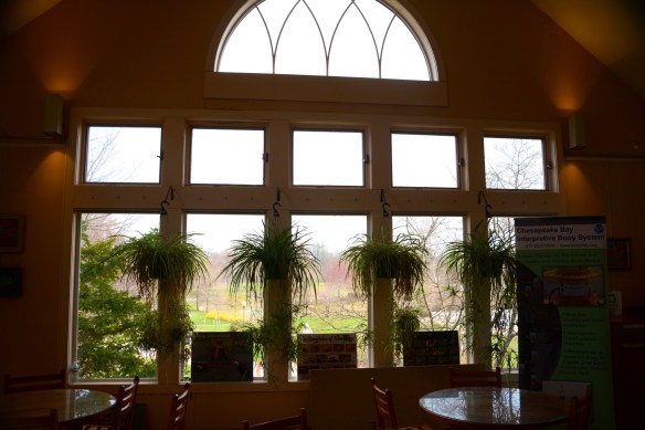 Lin and Michael's Photos