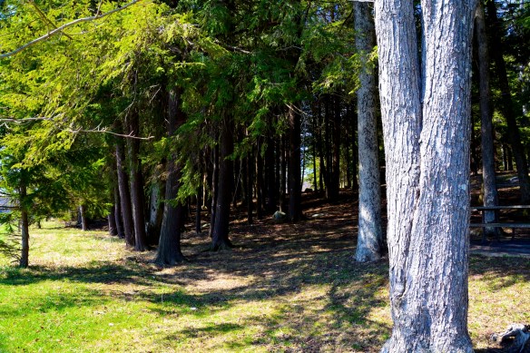 Lin and Michel's Photos