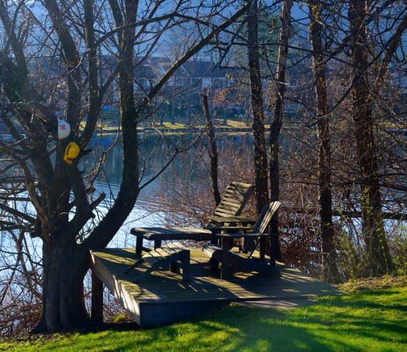 Lin and Michael's Photos