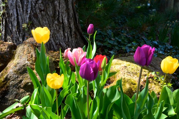 Lin and Michael's Photos