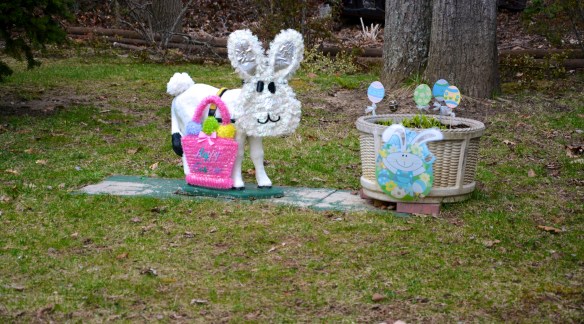 Lin and Michael's Photos