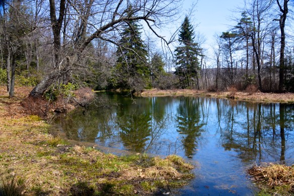 Lin and  Michael's Photos