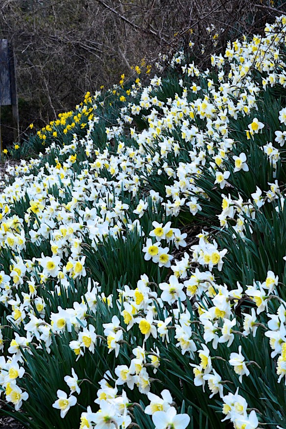 Lin and Michael's Photos