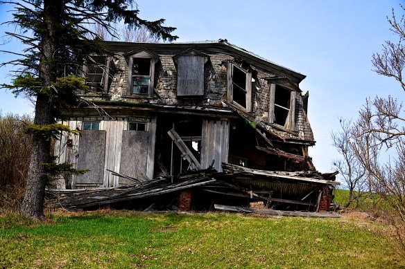 Lin and Michael's Photos