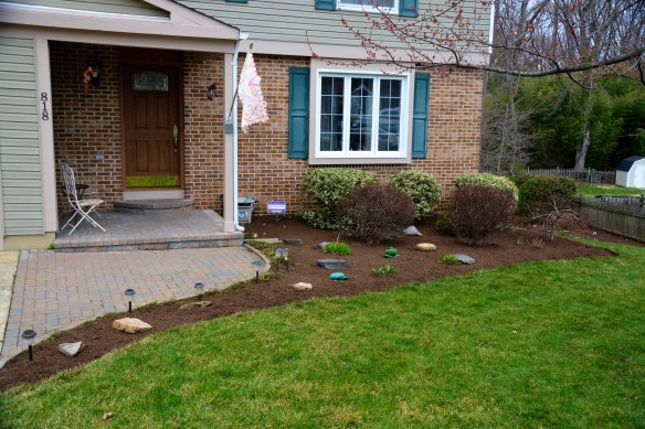 Lin and Michael's  Photos