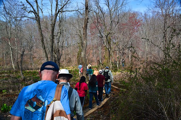 Lin and Michael's Photos