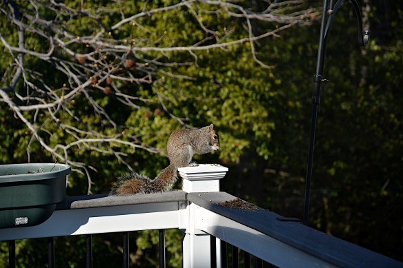 Lin and Michael's Photos