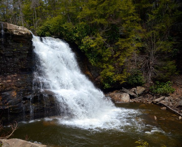 Lin and Michael's Photos