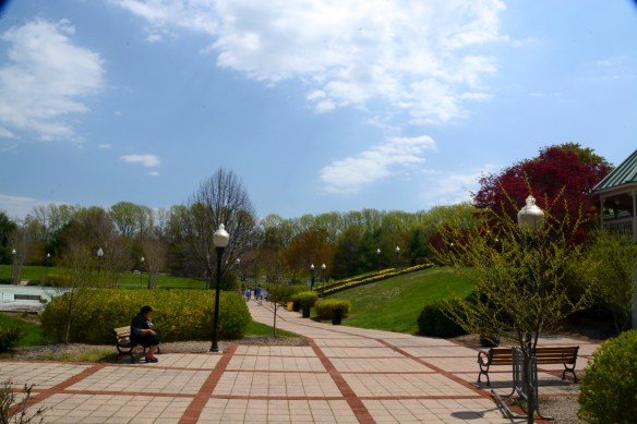 Lin and Michael's Photos