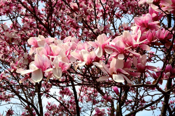 Lin and Michael's Photos