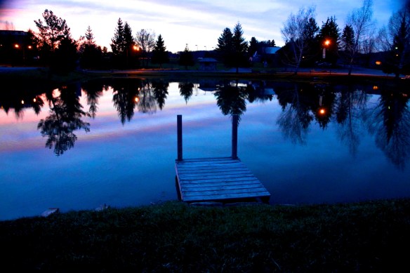 Lin and Michael's Photos