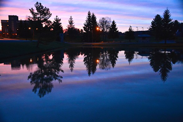 Lin and Michael's Photos