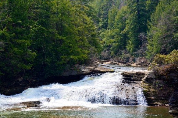 Lin and Michael's Photos