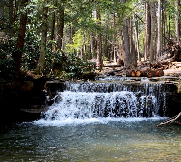 Lin and Michael's Photos